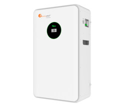 Аккумулятор FelicityESS FLA48100-EU 48v 100Ah BMS 100A  5.12kW