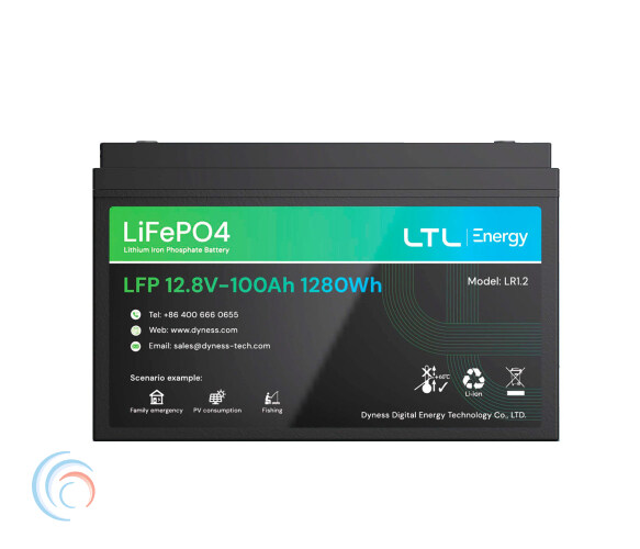 Аккумуляторная батарея LiFePO4 Dyness LR1.2, 12.8V/100Аh (45903)
